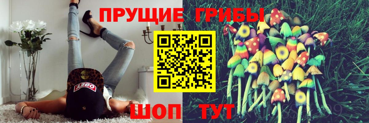 Галлюциногенные грибы мухоморы Александров